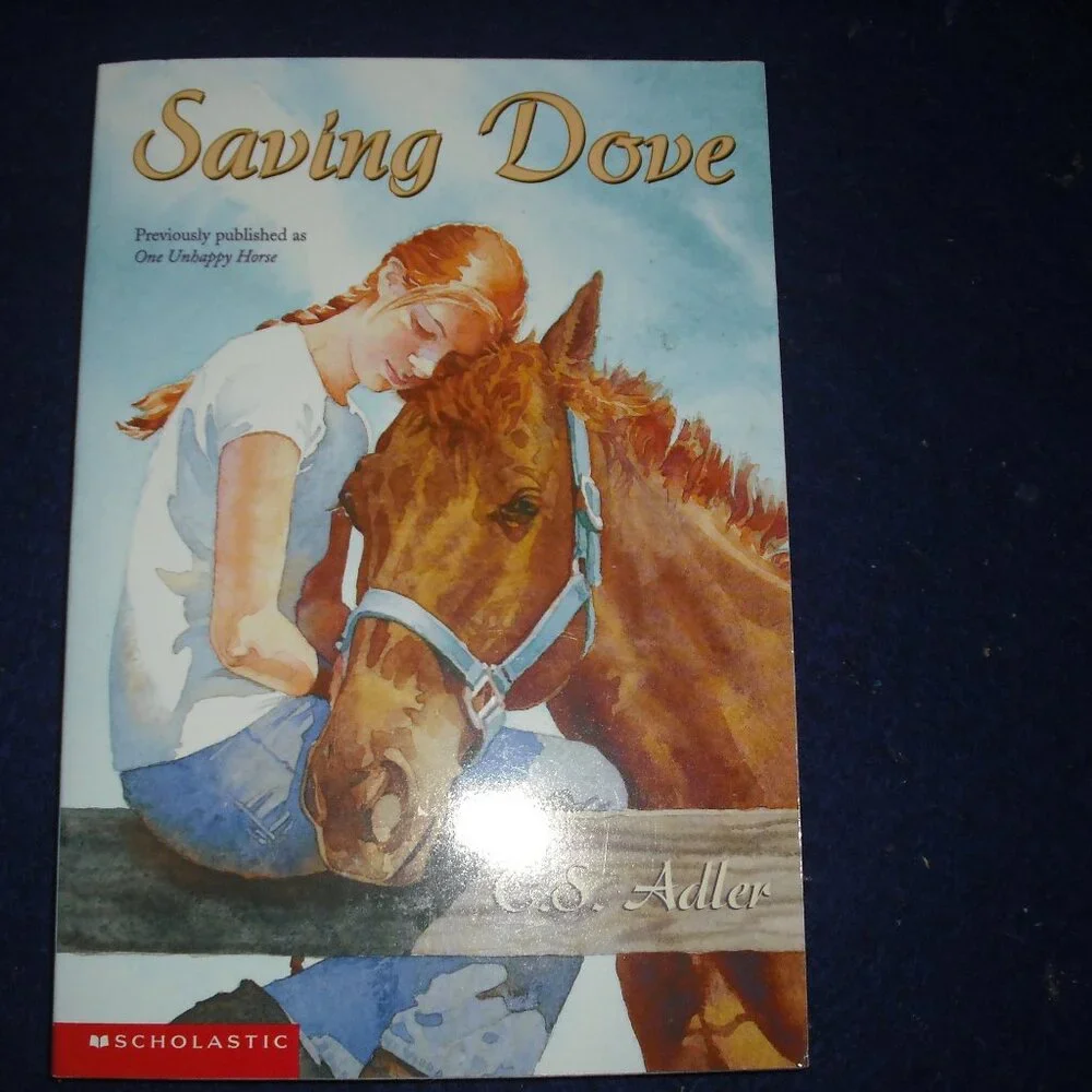 Chapter books: Saving Dove, Can Jansen,Nancy Clancy, Jigsaw Jones x 9 New
